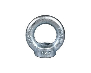 Závěsné matice DIN 582 Ocel Zinek bílý