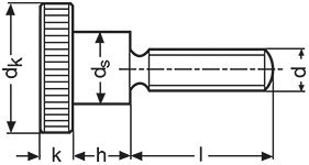 Šrouby s rýhovanou hlavou DIN 464 Ocel Zinek bílý