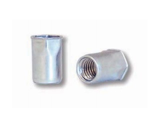 Částečně šestihranné nýtovací matice, otevřené s redukovanou hlavou Ocel Zinek bílý