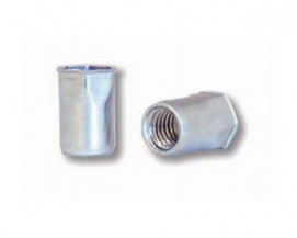 Částečně šestihranné nýtovací matice, otevřené s redukovanou hlavou pro palcové otvory Ocel Zinek bílý